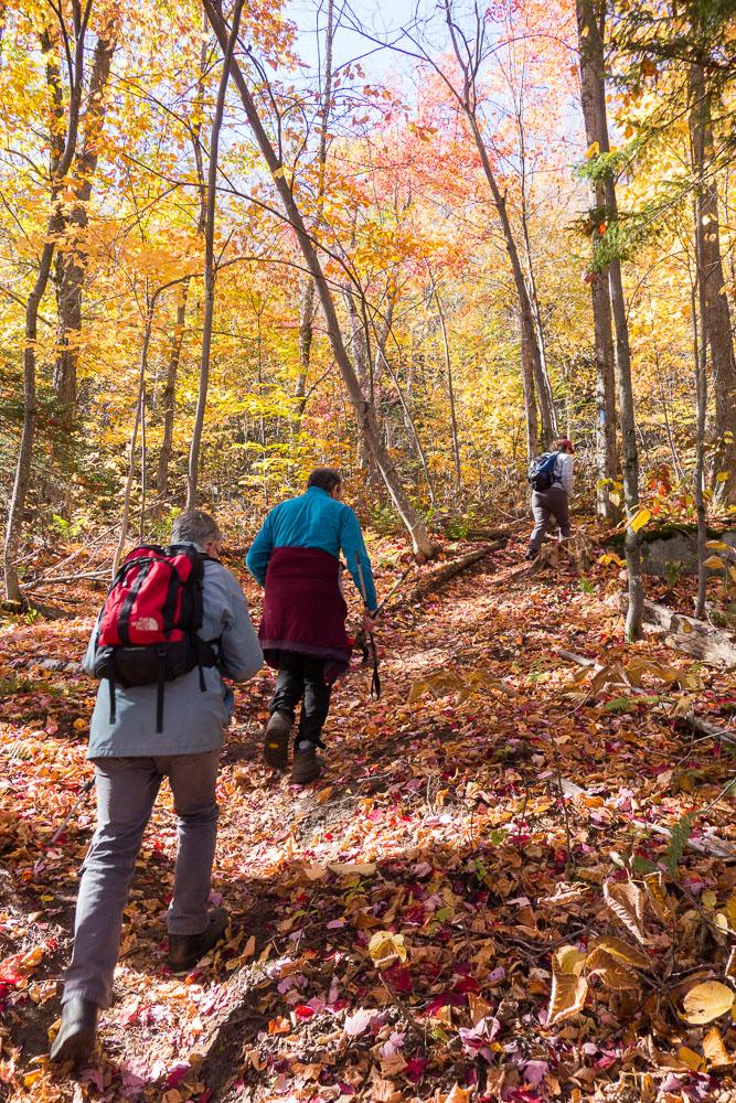 Expert Tips for‌ Capturing Autumn Landscapes While⁢ Hiking